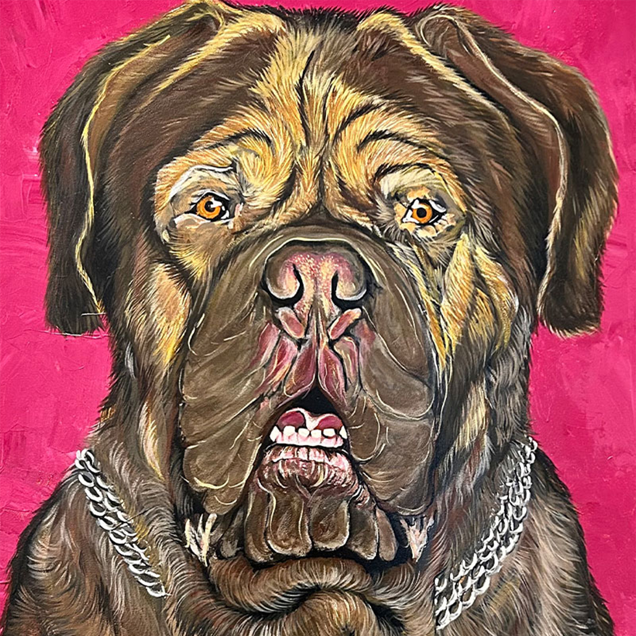 Summer Street Vet - Meet Our Team