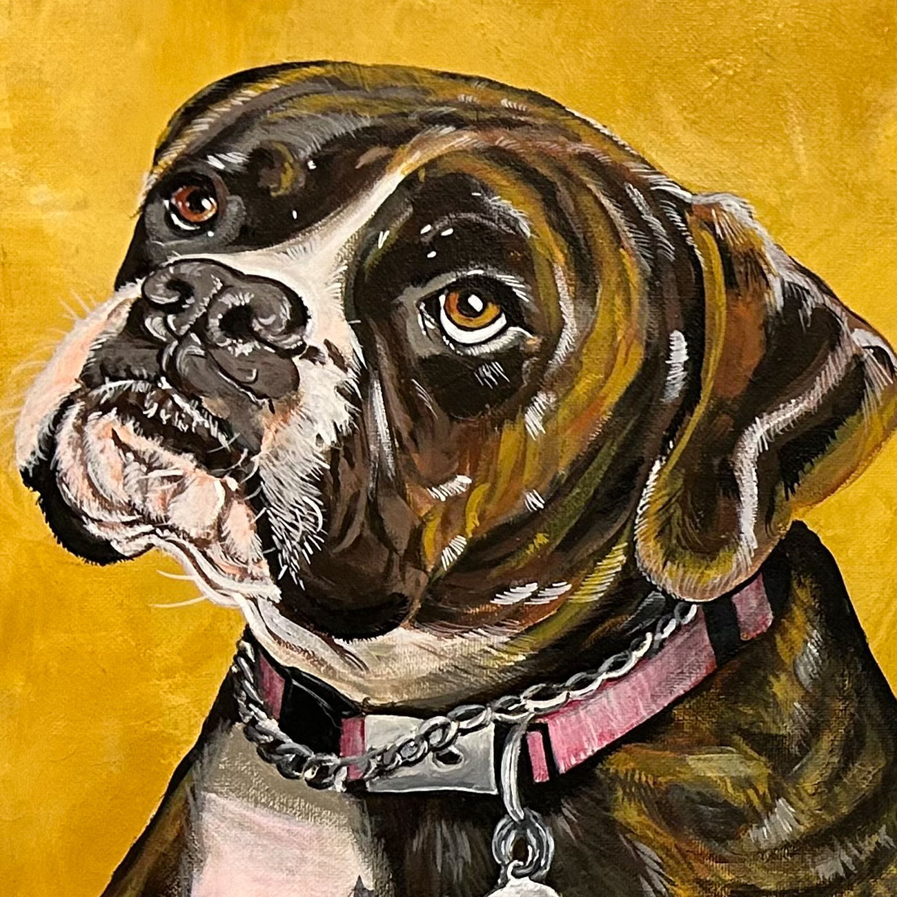 Summer Street Vet - Client Resources