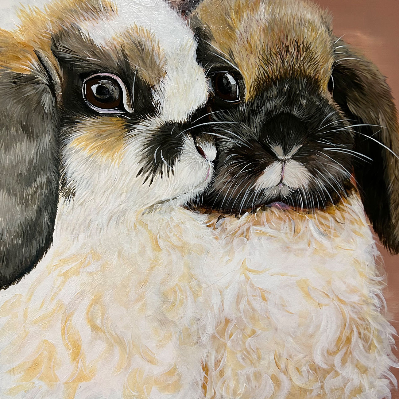 Summer Street Vet - Take a Tour