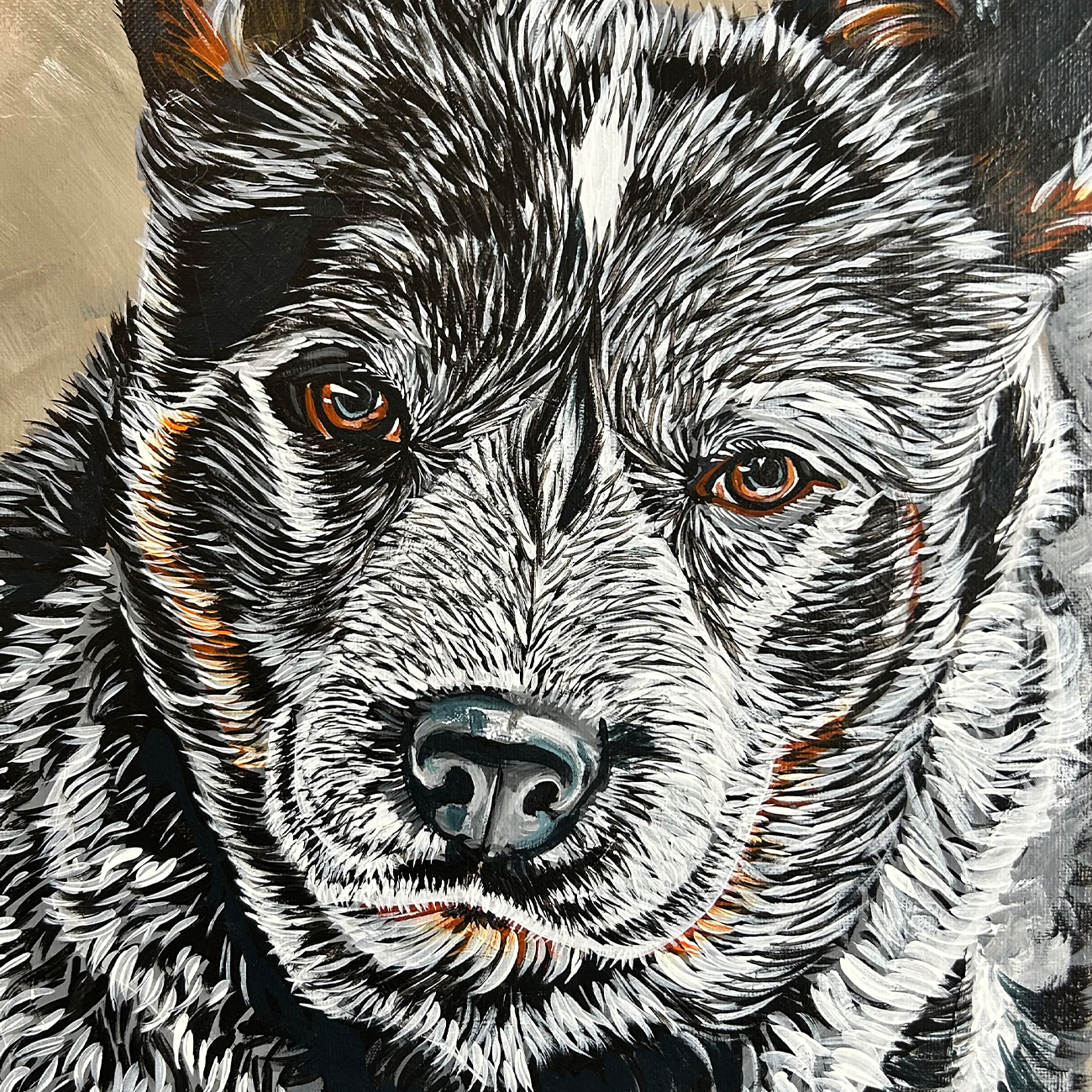 Summer Street Vet - Vacancies