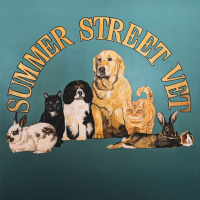 Summer Street Vet