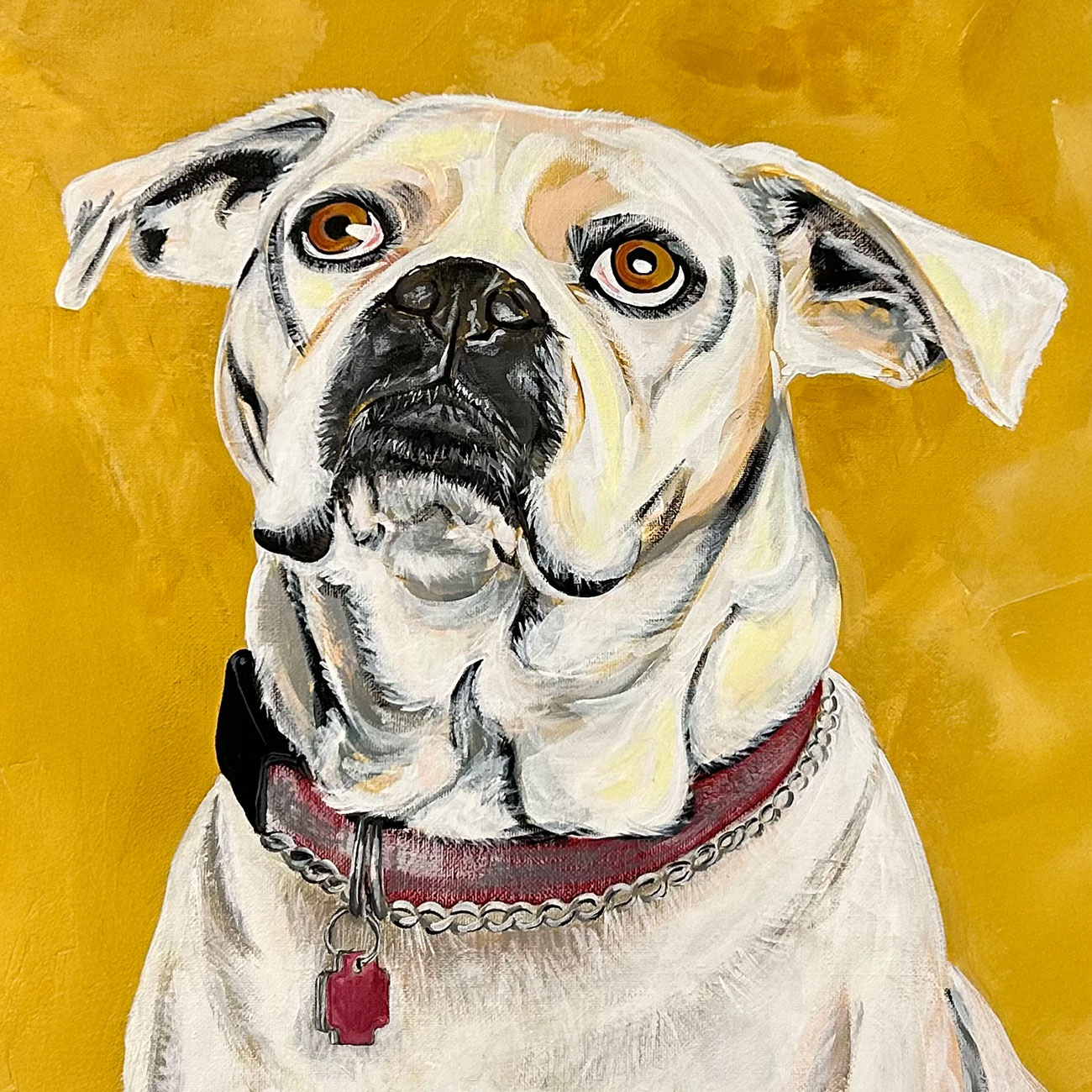 Summer Street Vet - Medical & Surgical