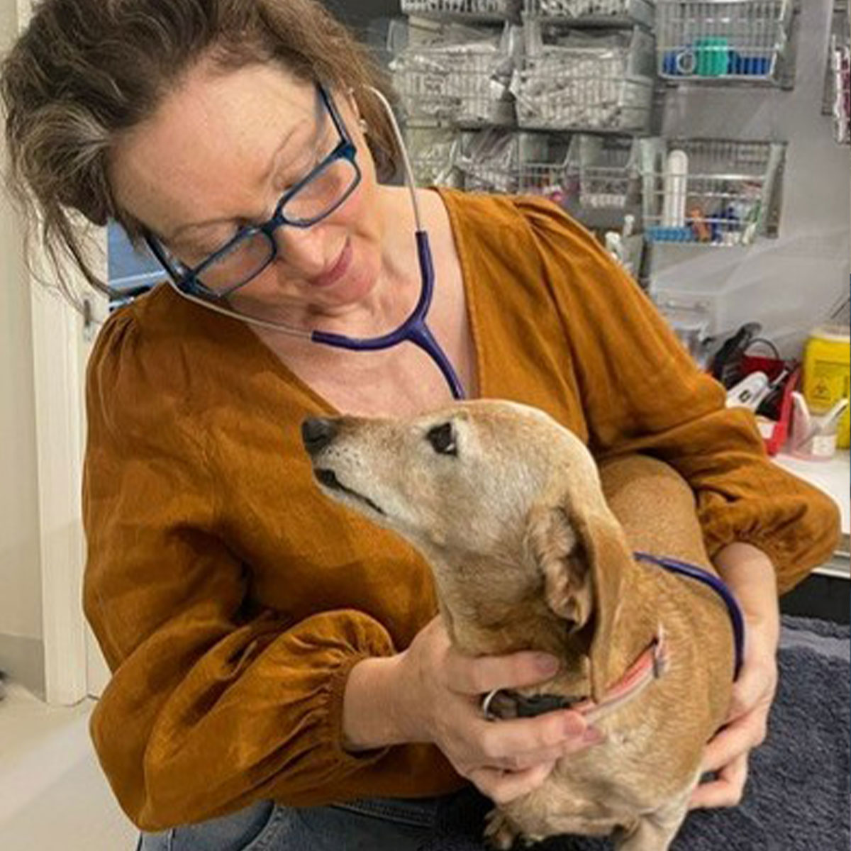 Summer Street Vet - Pet Health Checks Summer Street Vet - Pet Health Checks