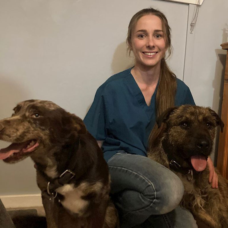 Summer Street Vet - Meet Our Team - Amy