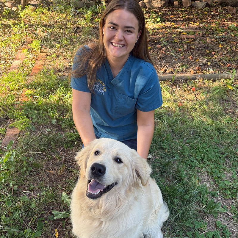Summer Street Vet - Meet Our Team - Brooklyn Summer Street Vet - Meet Our Team - Brooklyn