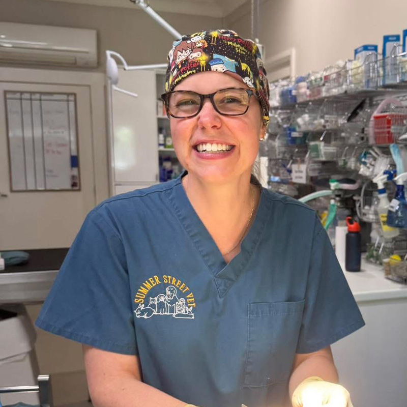 Summer Street Vet - Meet Our Team - Dr Hope