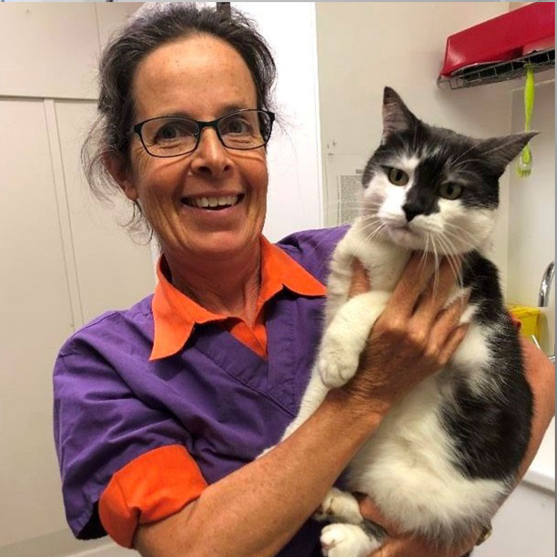 Summer Street Vet - Meet Our Team - Dr Kelli Lane