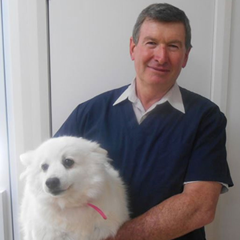 Summer Street Vet - Meet Our Team - Dr Scott Tucker