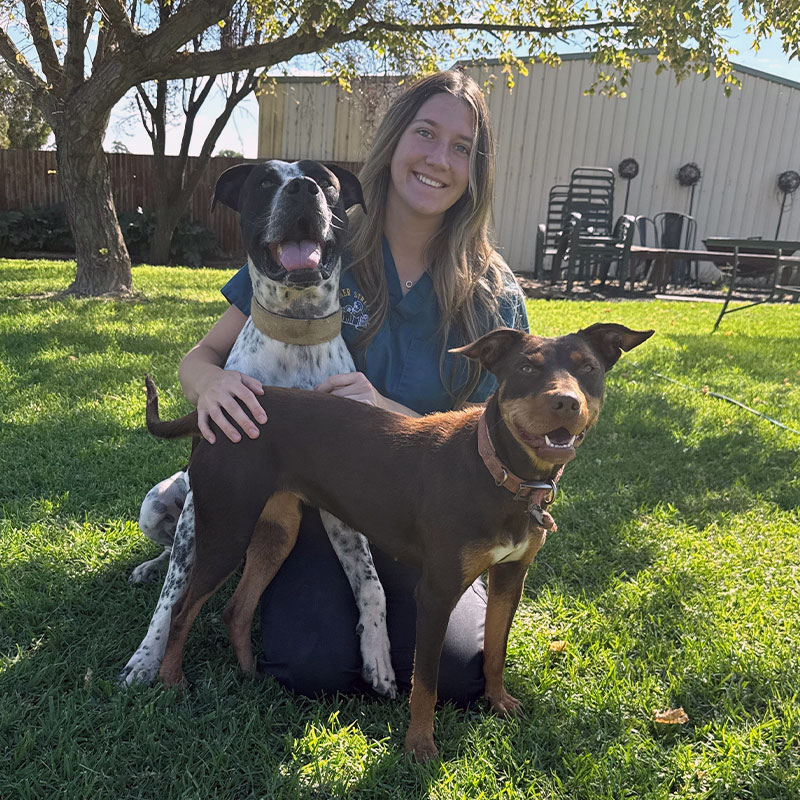 Summer Street Vet - Meet Our Team - Grace