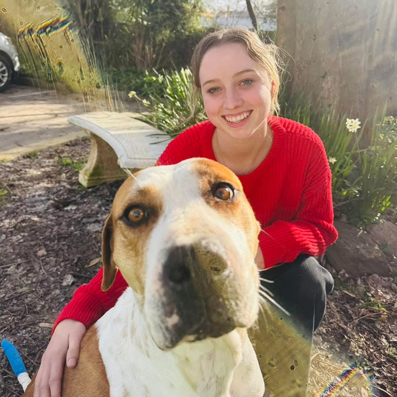 Summer Street Vet - Meet Our Team - Meg
