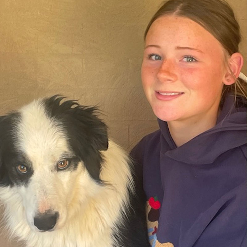 Summer Street Vet - Meet Our Team - Tilly