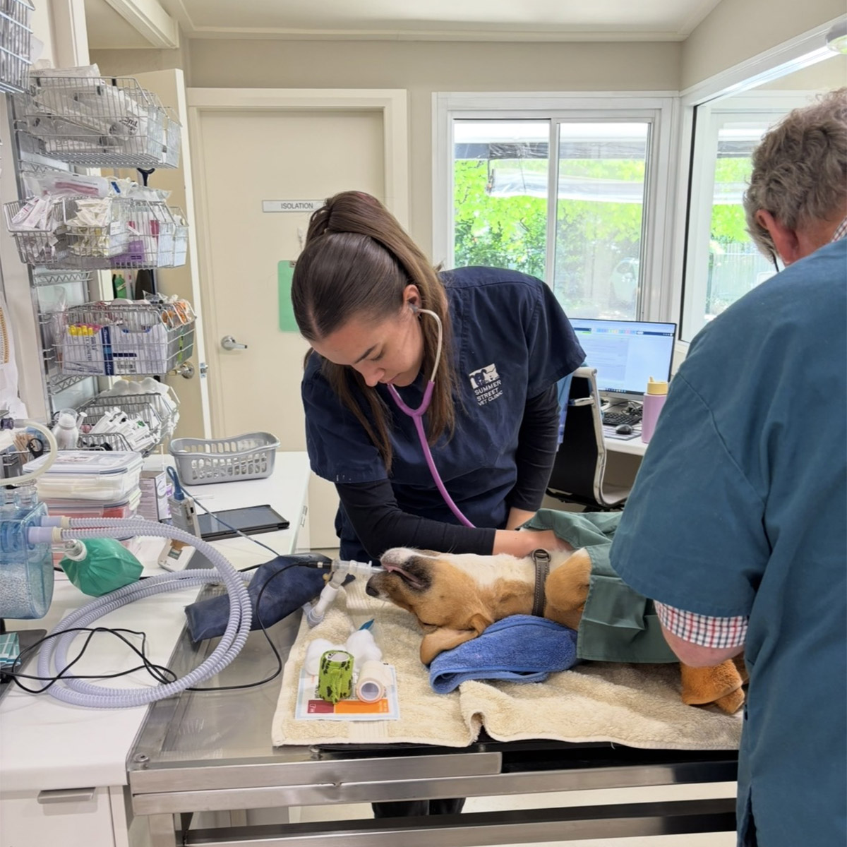 Summer Street Vet - Qualified Veterinary Nurse Position Vacant