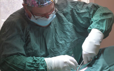 Veterinary Surgeon Position Vacant